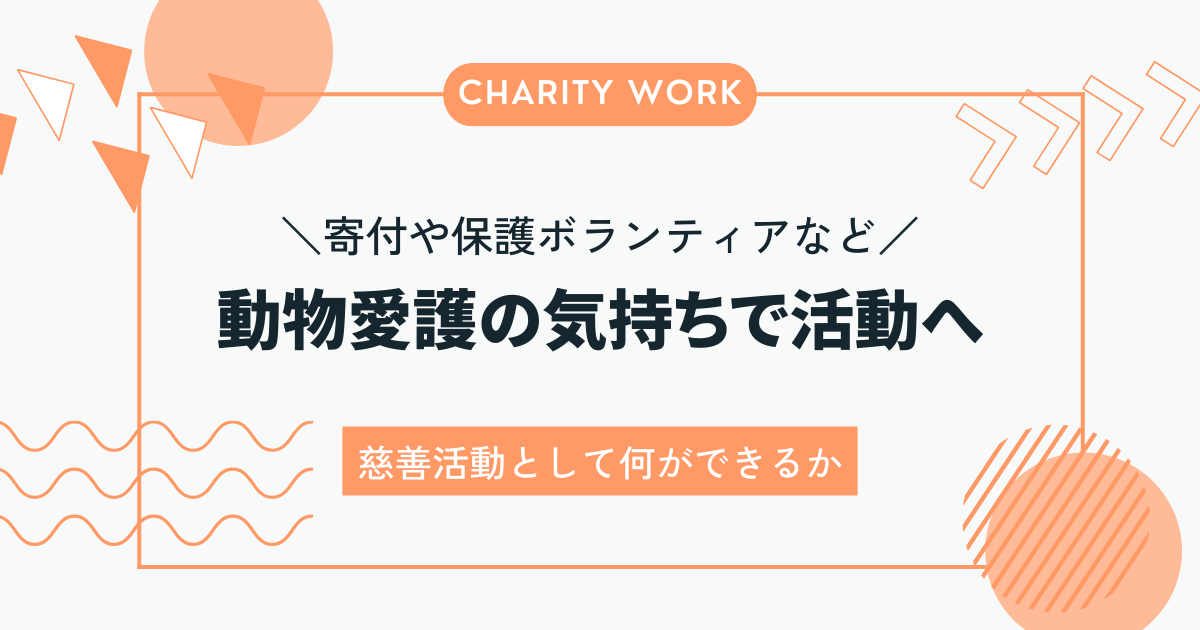 慈善活動としての動物愛護の取り組み、具体的な活動内容と意義